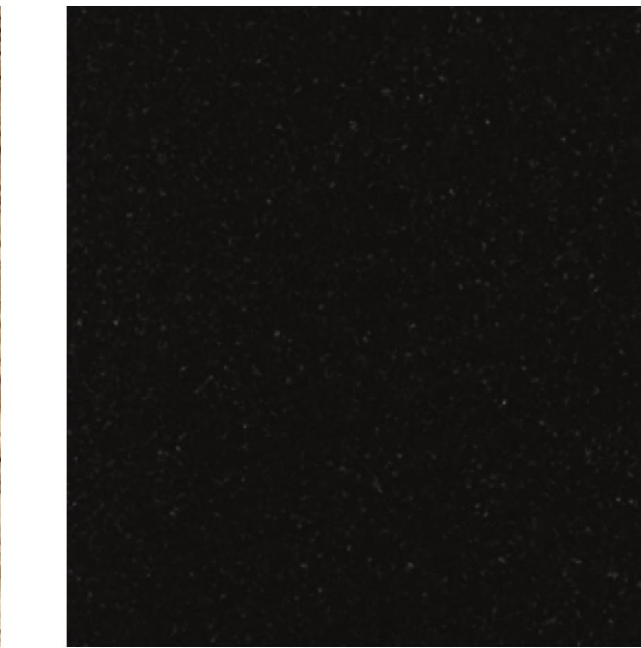 Đá absolute black - mẫu • đá granite An Hưng Gia