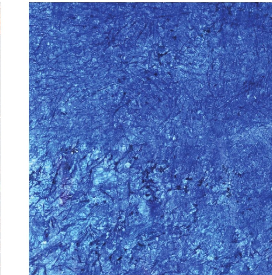 Đá blue sky - mẫu • đá granite An Hưng Gia